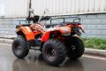 RATO ATV200 STANDARD